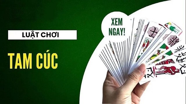 Cách chơi bài Tam Cúc online dành cho người mới Cách chơi bài Tam Cúc online dành cho người mới