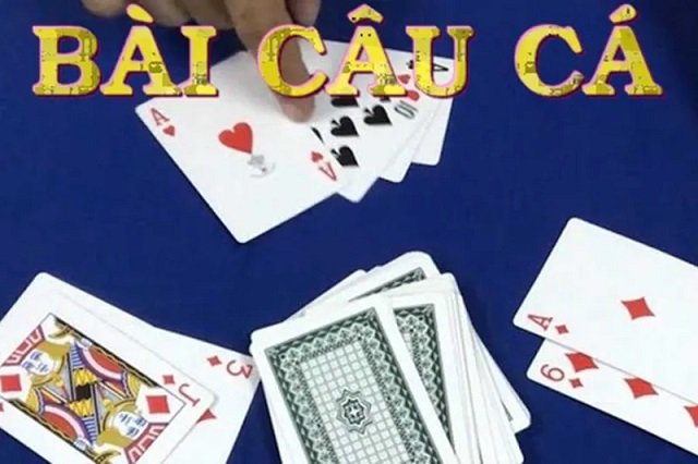 Đánh bài câu cá là gì? Đánh bài câu cá là gì?